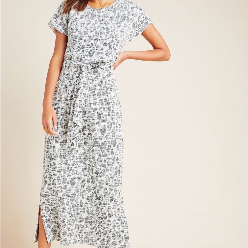 Anthropologie Dolan Left Coast Taleen textured midi dress, size xs